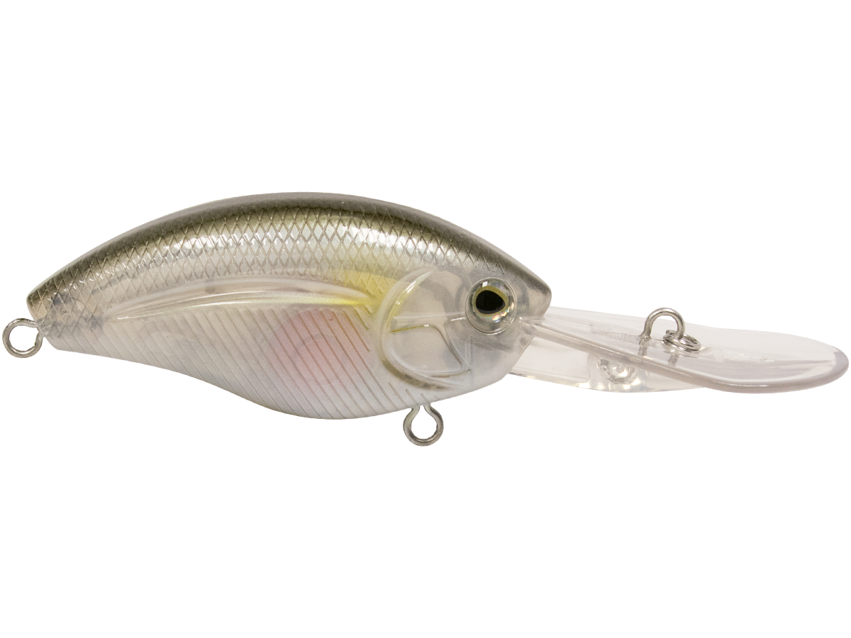 Buy Livingston Lures Divemaster 20. Wobbler, electronic rattle sound and  glowing eye colour, A 8 + 6 cm Online at desertcartSeychelles